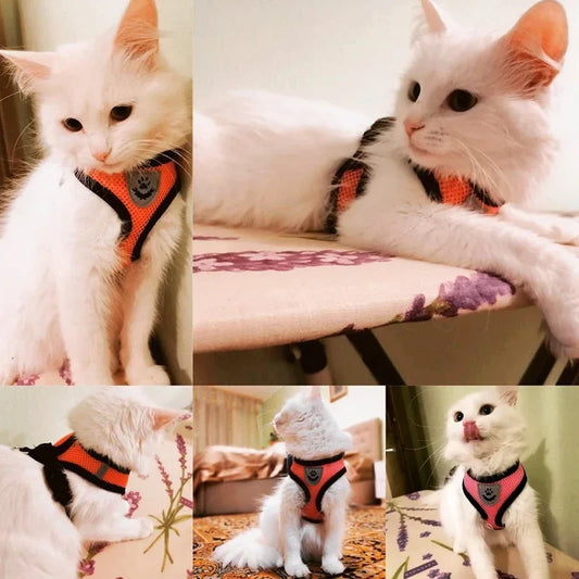 Arnés tipo chaleco para gatos con correa para paseo, también apto para cachorros y perros pequeños, fabricado en poliéster con malla transpirable, ajustable, accesorio para mascotas pequeñas y medianas.