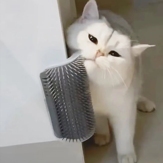 masajeador para gatos, cepillo de material PP para mascotas, peine removedor de pelo para el cuidado y aseo de perros y gatos, accesorio de grooming de calida