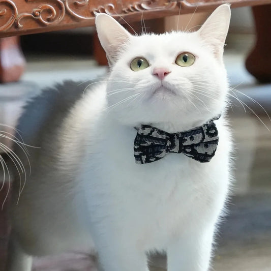 Correa y collar para gatos, accesorios lindos para mascotas, arnés y correa para gatitos y animales pequeños, arnés desmontable de moda.