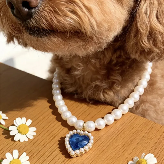 Collar ajustable con perlas para mascotas, accesorio elegante para gatos y perros pequeños, diseño con pedrería brillante, ideal para gatos Sphynx, collar de moda para gatitos y perros.